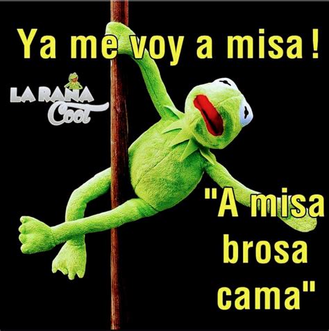 Funny Spanish Jokes, Spanish Humor, Funny Jokes, Hilarious, Funny Animal Pictures, Funny Animals ...