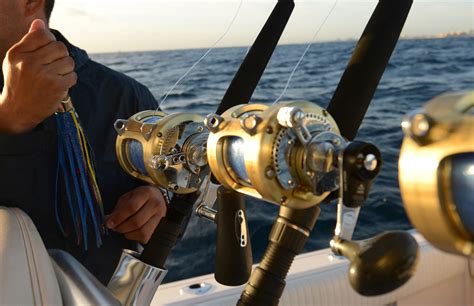 2017 Guide to The Best Saltwater Spinning Reels