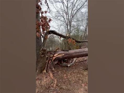 Severe Weather Slams Into East Tennessee - RAIN WIND HAIL TORNADO #shorts - YouTube