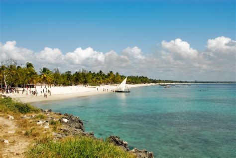 Dive Site: The Office, Tofo, Mozambique • Scuba Diver Life