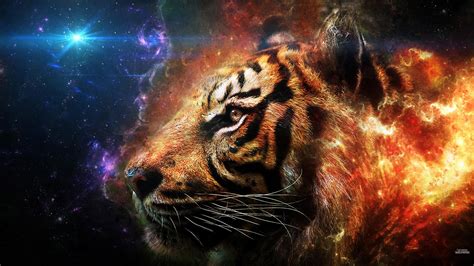 Awesome Tiger Wallpapers - Top Free Awesome Tiger Backgrounds ...