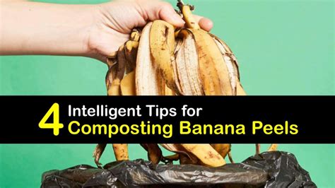 Banana Peels in Your Compost - Composting a Banana Peel