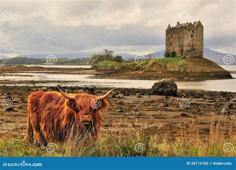 Scottish Highlands Landscape Royalty Free Stock Photo - Image: 28713785