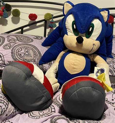 Toy network Sonic plush 3/4ft : r/SonicTheHedgehog