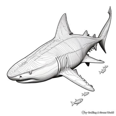 Bull Shark Coloring Pages - Free & Printable!