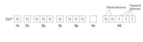 The ground state electron configuration of the cobalt atom is characterized by which of the ...