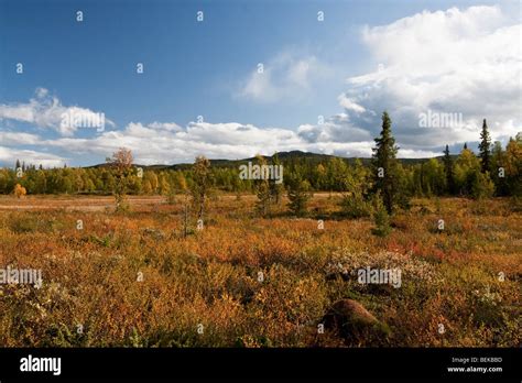 Sarek National Park Stock Photo - Alamy