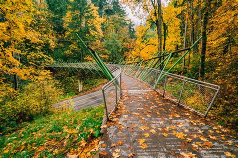 25+ EPIC Hikes Near Portland That Prove We Live in Paradise