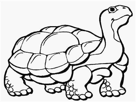 Gopher tortoise coloring pages The gopher tortoise is a fairly large terrestrial reptile whi ...