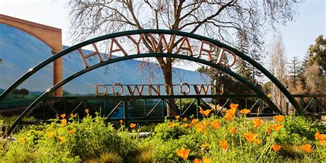 Latest News | City of Hayward - Official website