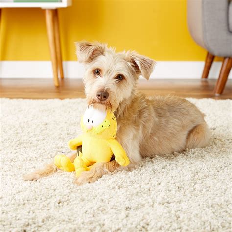 Multipet Garfield Dog Toy, 10-in - Chewy.com