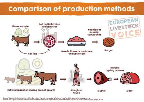 “Cultured meat”: A media story with little regard for academic debate ...