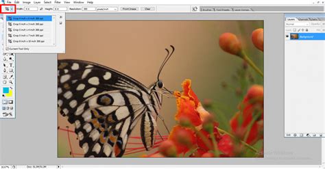 Crop Tool in Photoshop | Learn to Use Crop Tool in Photoshop