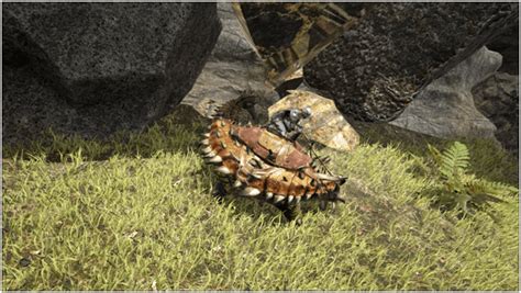 Ark Ankylosaurus Guide (Abilities, Taming, Food, Saddle, Breeding, Drops & Location) - ProGameTalk