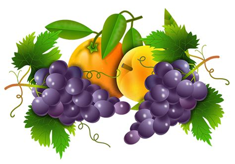 Fruit clipart