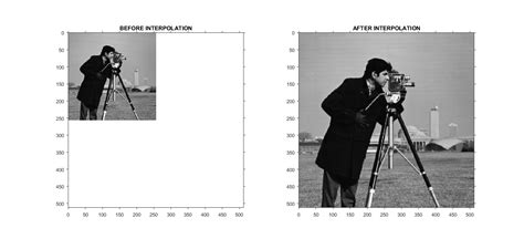 Nearest Neighbor Interpolation | IMAGE PROCESSING