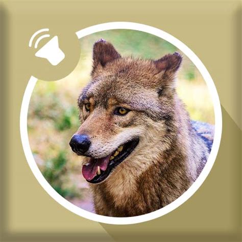 Wolf Sounds - Apps on Google Play