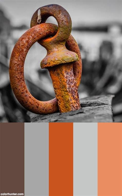 Glorious Rust Color Palette | Rust color schemes, Color schemes colour palettes, Orange color ...