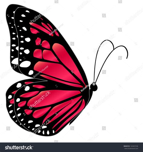 Illustration Red Butterfly Flying On White Stock Vector (Royalty Free ...