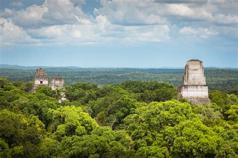 Aerial View Tikal Rainforest Guatemala Mayan Temple Pyramids Stock ...