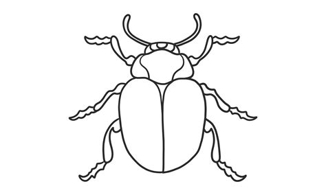 Japanese Beetle Coloring Page Beetle Illustration | Porn Sex Picture