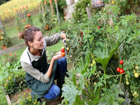 Tips For Kitchen Garden - Boldsky.com