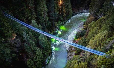 Canyon Lights returns to Capilano Suspension Bridge this holiday season | Listed