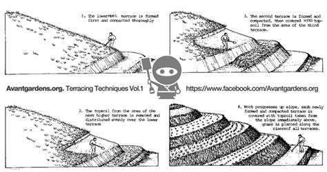 Terrace Farming Diagram