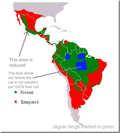 Jaguar Distribution Map | Jaguar, Blue area, Map