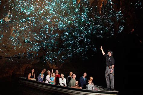 The Enchanted Glowworm Caves of Waitomo | Unusual Places