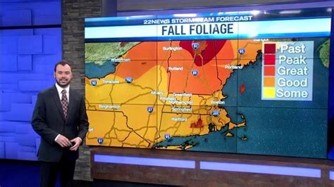 New England fall foliage map through this weekend - News 413