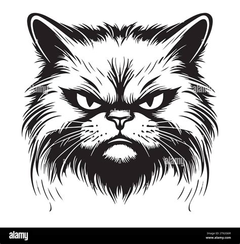 Angry cat head isolated illustration. Black color on white background image Stock Vector Image ...