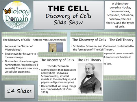 The Discovery of Cells Slide Show | Teaching Resources