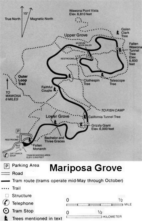 Mariposa Grove of Giant Sequoias Guide and Map, Yosemite National Park