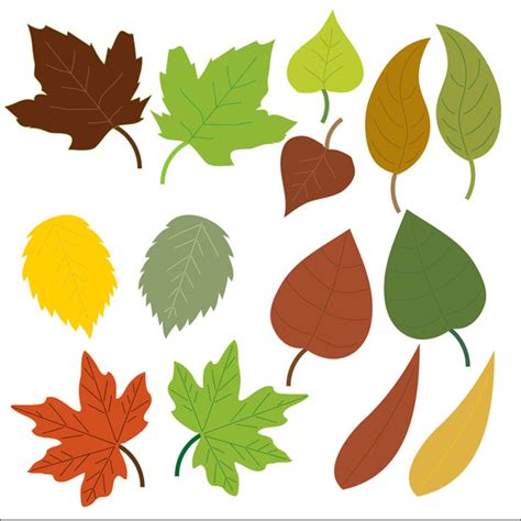 Leaves Clipart Free Stock Photo - Public Domain Pictures