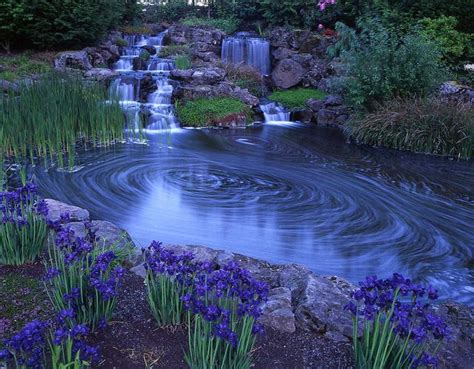 The Oregon Garden | Flickr - Photo Sharing! Oregon Garden, All About Water, Willamette Valley ...