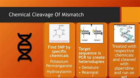 SNP Detection Methods and applications