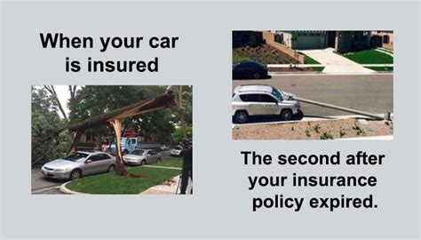 The Funniest Car Insurance Memes Of All Time | Infoik