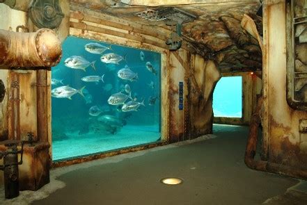 Helmo's world: 7 Charming and Most Beautiful Aquarium in World