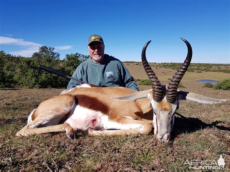 Hunt Springbok in South Africa | AfricaHunting.com