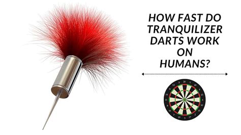 How fast do tranquilizer darts work on humans?