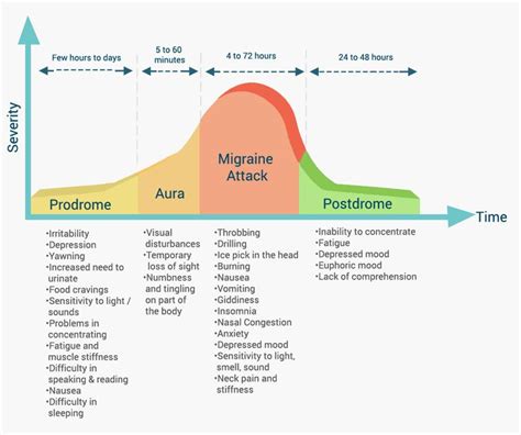 Phases of Migraine | MigraineBuddy.com | Migraine, Headache relief ...