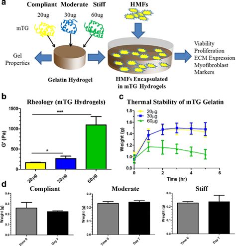 Hydrogel properties. a Schematic of hydrogel setup and downstream... | Download Scientific Diagram