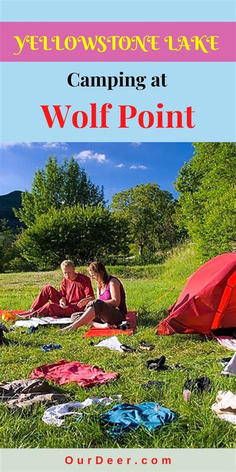 Yellowstone lake camping at wolf point – Artofit