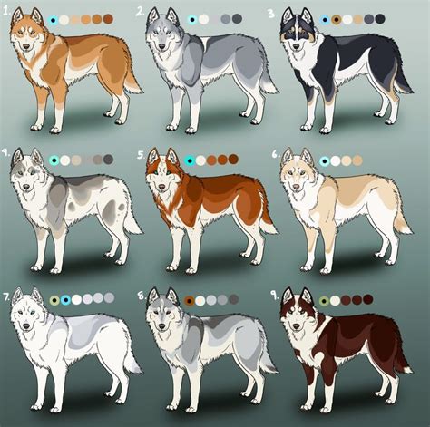 1000+ images about pomsky & husky on Pinterest