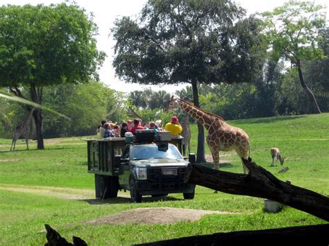 Animal encounters at Busch Gardens Tampa Bay