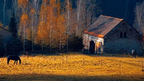 Kentucky horse farm | Scenery wallpaper, Autumn landscape, Tree ...