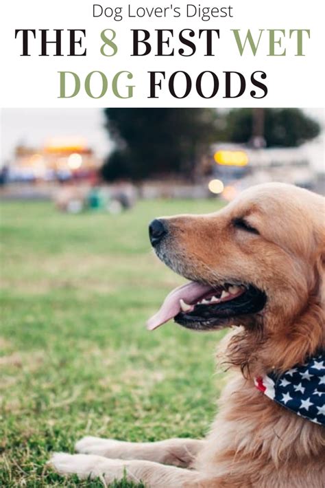 The 8 Best Wet Dog Foods in 2021 | Wet dog food, Dog food recipes, Dogs