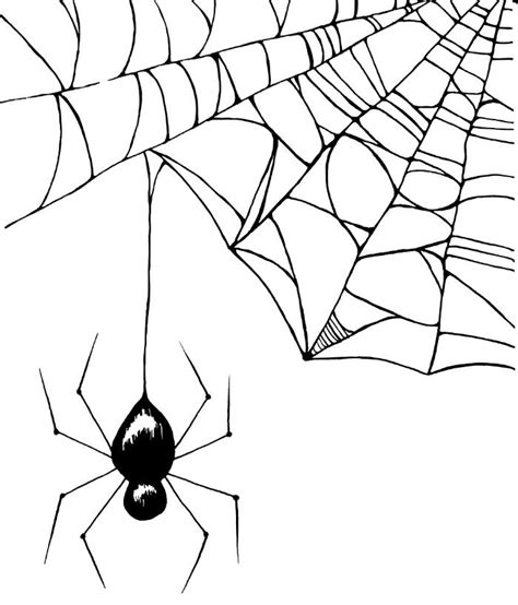 Spider Art Print by Chrystal Elizabeth | Society6 | Spider art, Spider ...