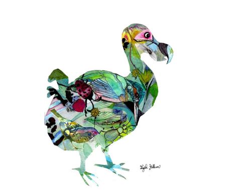 Dodo bird print, Dodo, Bird, Dodo art, Bird print, Dodo wall art, Dodo ...